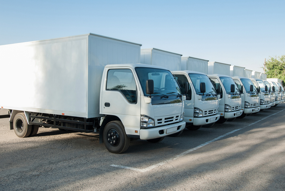 Moving and Storage Coverages