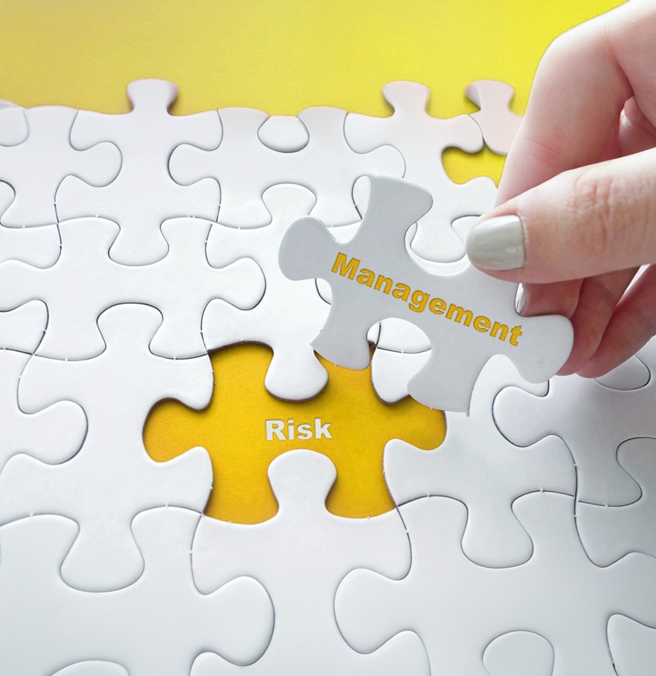 risk management puzzle